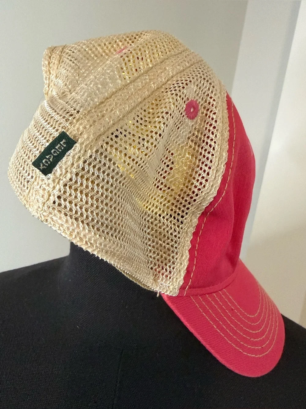 Blue Ridge Georgia - Legacy Kids Pink Mesh Trucker Hat